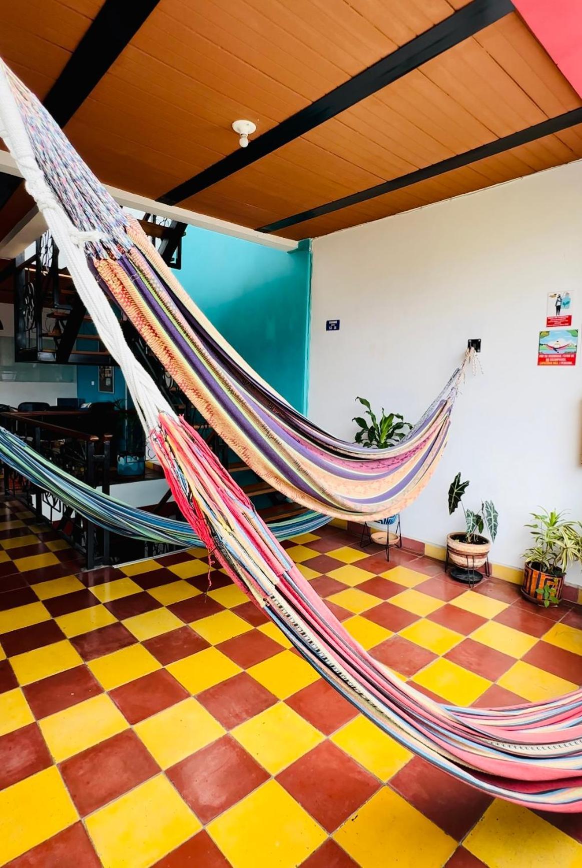 Havana Hostel Cali & Dance School المظهر الخارجي الصورة