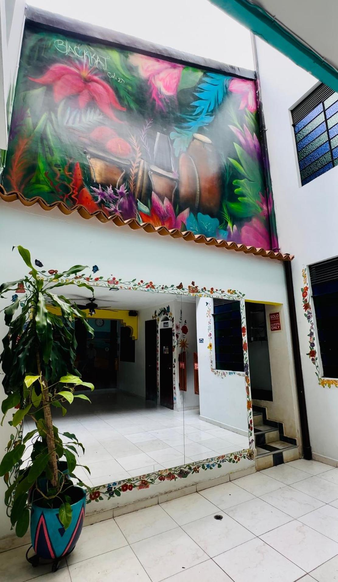 Havana Hostel Cali & Dance School المظهر الخارجي الصورة